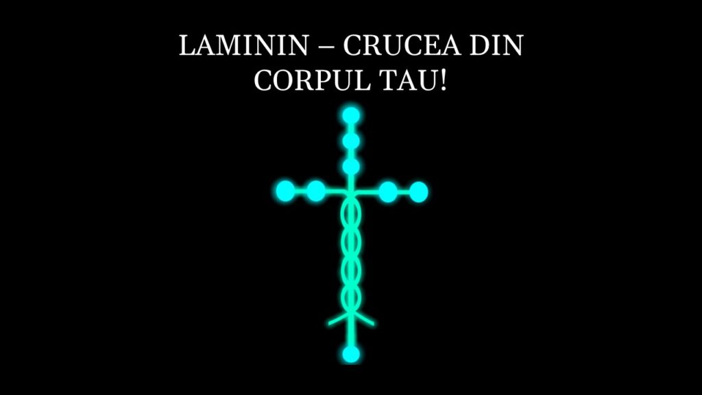 LAMININ – CRUCEA DIN CORPUL TAU!
